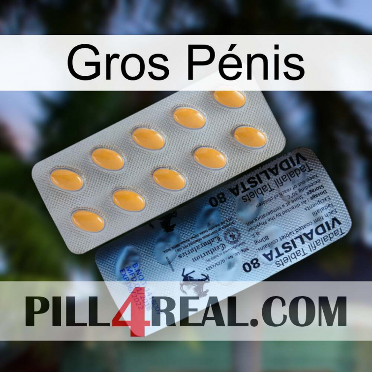 Gros Pénis 44